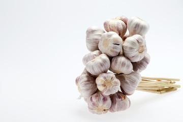 fresh garlic  on white background