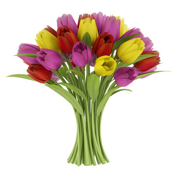 bouquet of tulips isolated on white background