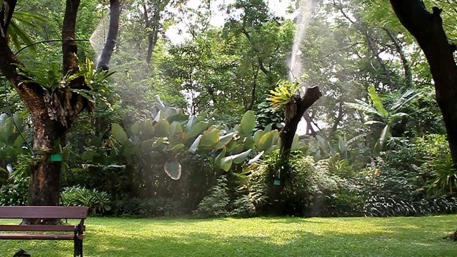 sprinkler spraying water In the garden