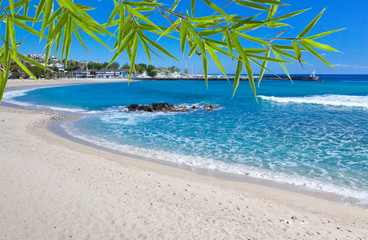 plage de Saint-Gilles, île de la Réunion