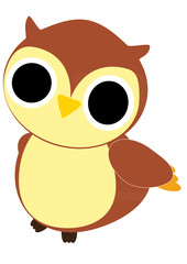 Cartoon Owl