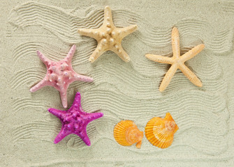 Fototapeta na wymiar Sea frame with starfishes