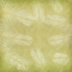 old paper background with palm leaf