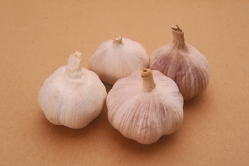 Garlic on burlap background