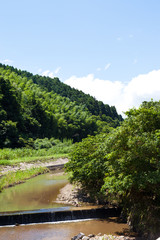 Fototapeta premium Canyon of summer