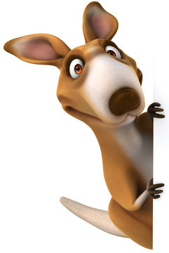 Fun kangaroo