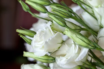 Papier Peint photo Lavable Macro Roses blanches