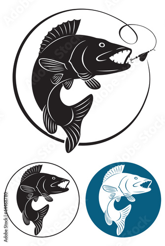 Download "fish walleye" Stock image and royalty-free vector files on Fotolia.com - Pic 44468780