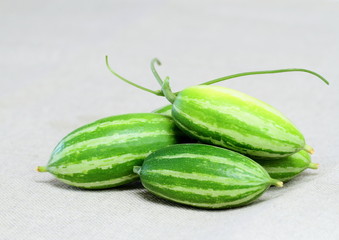 野生のカラスウリ