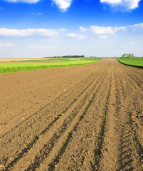Plowed field in spring time