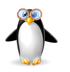 Obraz premium pinguino occhialuto