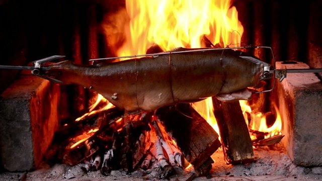 Salmon grilled on the barbecue