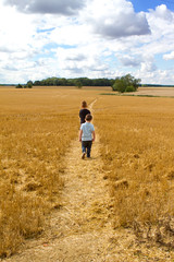 Naklejka na ściany i meble two boys walking through a wheat field