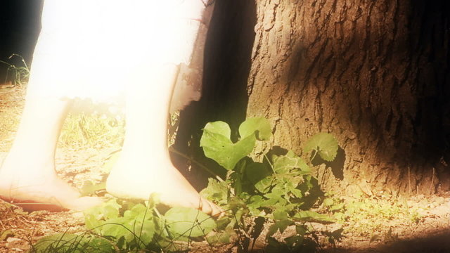 Fairies of the Forest