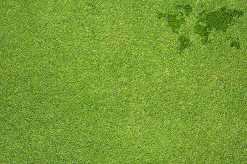 Word map on green grass texture and  background - 44475968