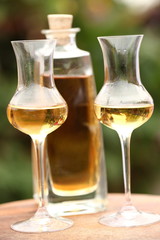 grappa