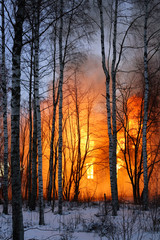 Fototapeta premium Burning
