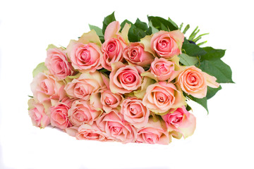 bouquet of pink  roses