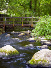 Rustic brücke