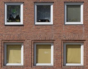 Sechs Fenster, Fassade eines Mehrfamilienhauses