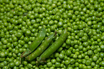 Organic fresh peas texture closeup detail