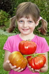 Fototapeta na wymiar little girl holding big tomatoes in the garden