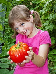 Fototapeta na wymiar little girl holding a big tomato in the greenhouse