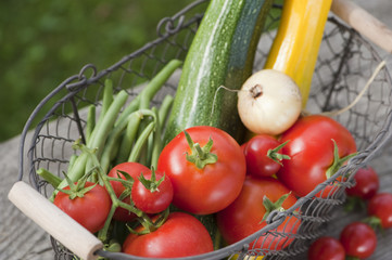 Frisches Gemüse - Vegetables