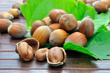 Nocciole sopra le foglie