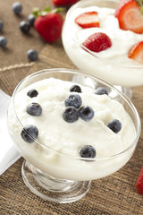Fresh Organic Greek Yogurt with blueberries