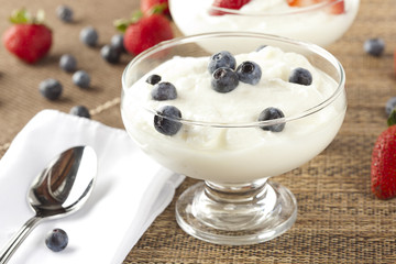 Fresh Organic Greek Yogurt with blueberries