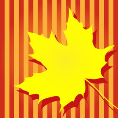 Atumn yellow maple leaf