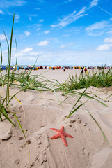 Strand mit Seestern © greenpapillon