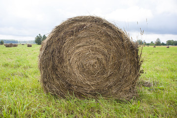 Hay bale