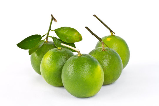 Green sweet oranges on white background