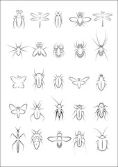 Collection of insect vector