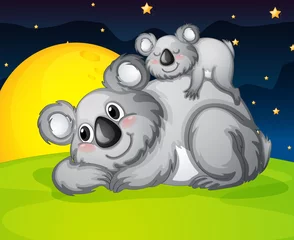Gardinen zwei Bären ruhen © GraphicsRF
