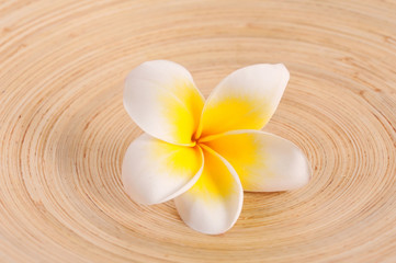 Frangipani and polished stone on bamboo mat