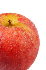Macro shot of Gala Apple