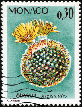 Stamp Parodia Scopaioides
