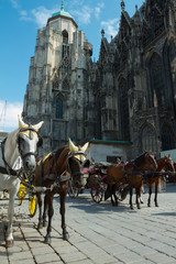 Naklejka na ściany i meble Horse-drawn Carriage in Vienna
