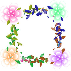 Flower of frame on white background