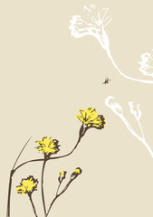 Yellow wild flower illustration