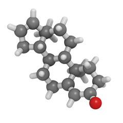 Androstadienone pheromone molecule