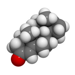 Androstadienone pheromone molecule, chemical structure