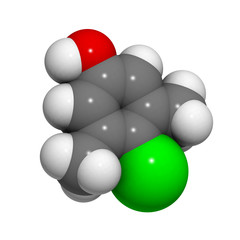 Chloroxylenol molecule, chemical structure