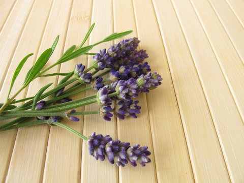 Ein Strauß Lavendel