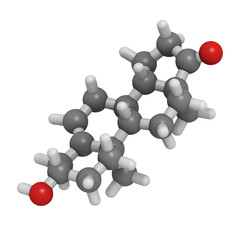 Dehydroepiandrosterone (DHEA, prasterone) molecule