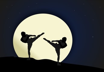 Fototapeta premium Night combat - Martial arts