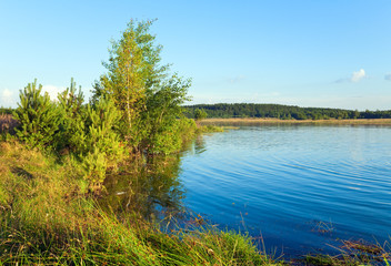 Summer rushy lake